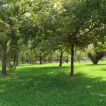 Exteriores (3)