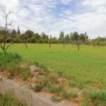 Exteriores (7)