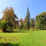 Exteriores B (11)