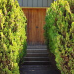 Exteriores B (2)