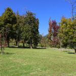 Exteriores B (5)