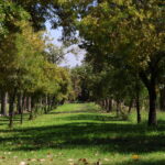Exteriores B (6)